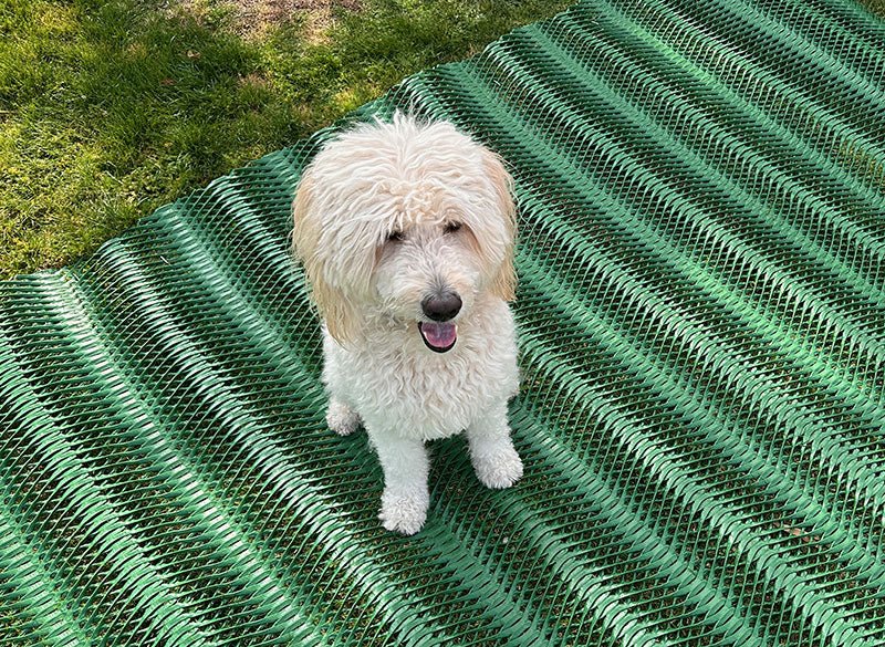 Dog Run Grass Protection Mesh