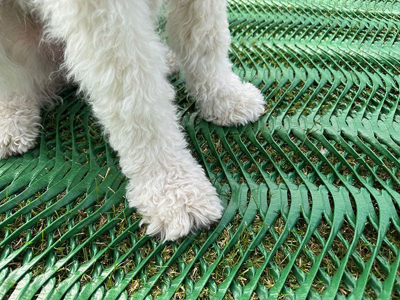 Grass Protection Mesh for Car Parking