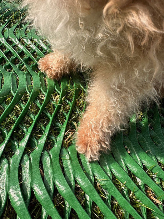 Driving on Grass Protection Mesh