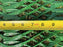 Green Plastic Mesh - Heavy-Duty