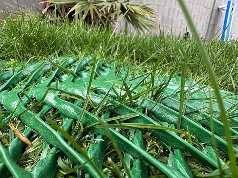 Job Site Grass Protection Mesh