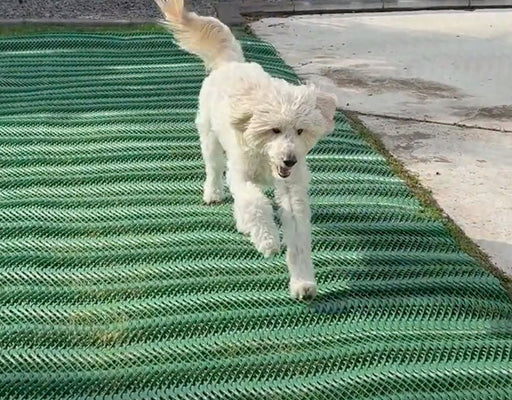 Dog Park Grass Protection Mesh